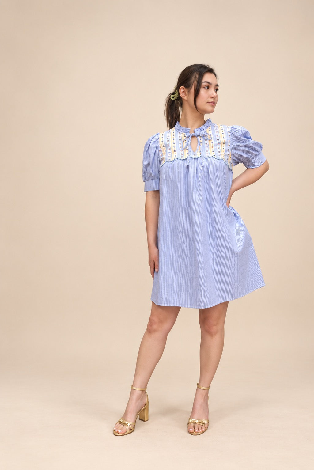 Sweet Meadow Embroidered Mini Dress