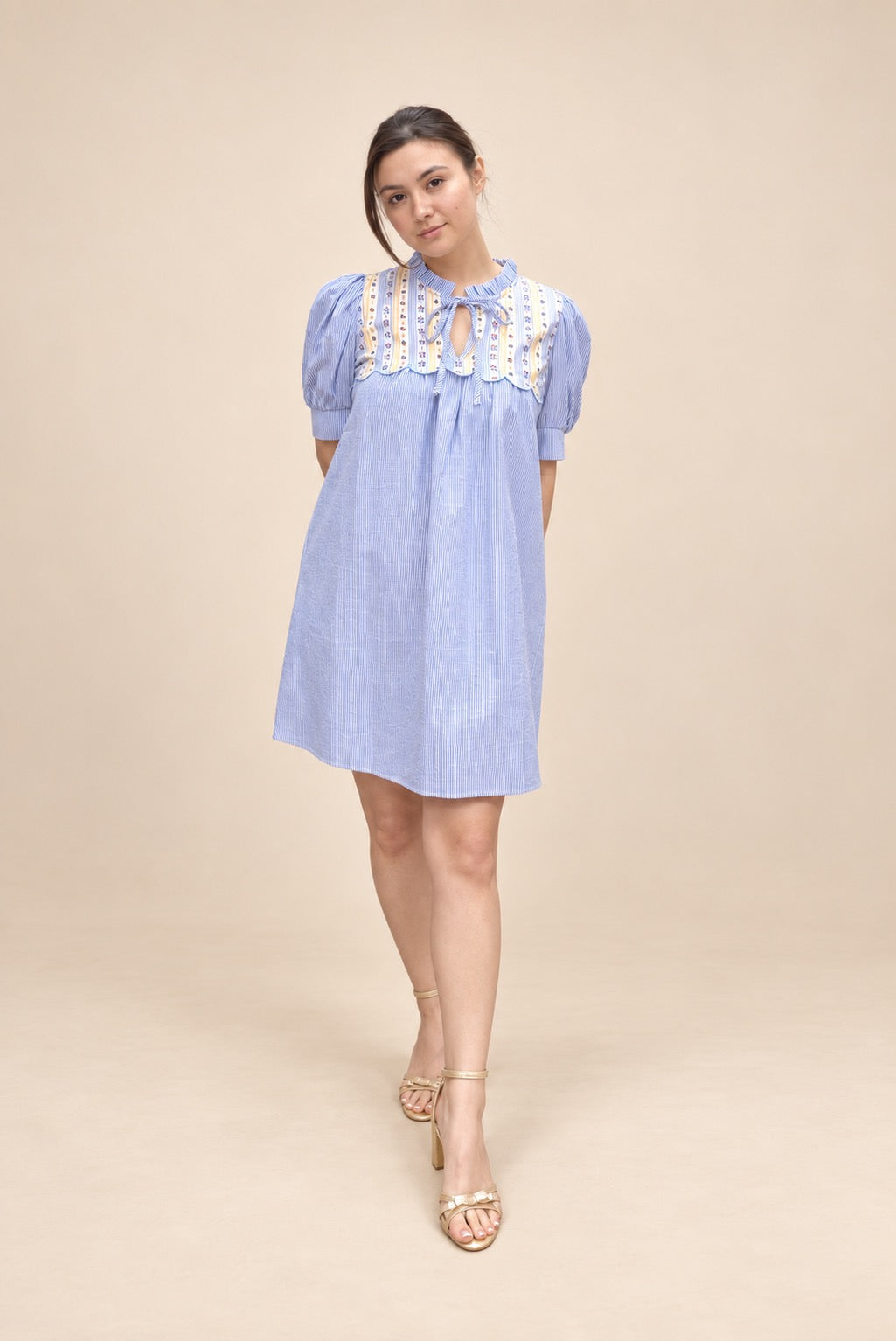 Sweet Meadow Embroidered Mini Dress